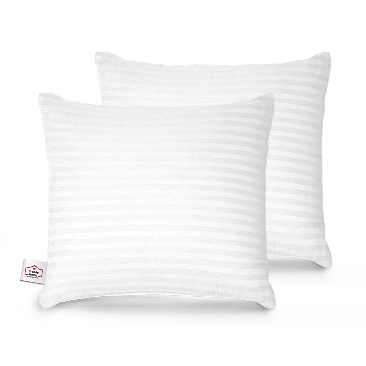 Trendy Home 12x12 Hypoallergenic Stuffer Home Office Decorative Throw Cushion Insert (White, Pack of 2)