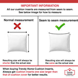 Trendy Home 20x20 Premium Stuffer Home Office Decorative Throw Pillow Insert (Pack of 2)